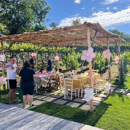 アジェーロラ Il Vigneto Di Nonno Pietro Bed & Breakfast エクステリア 写真
