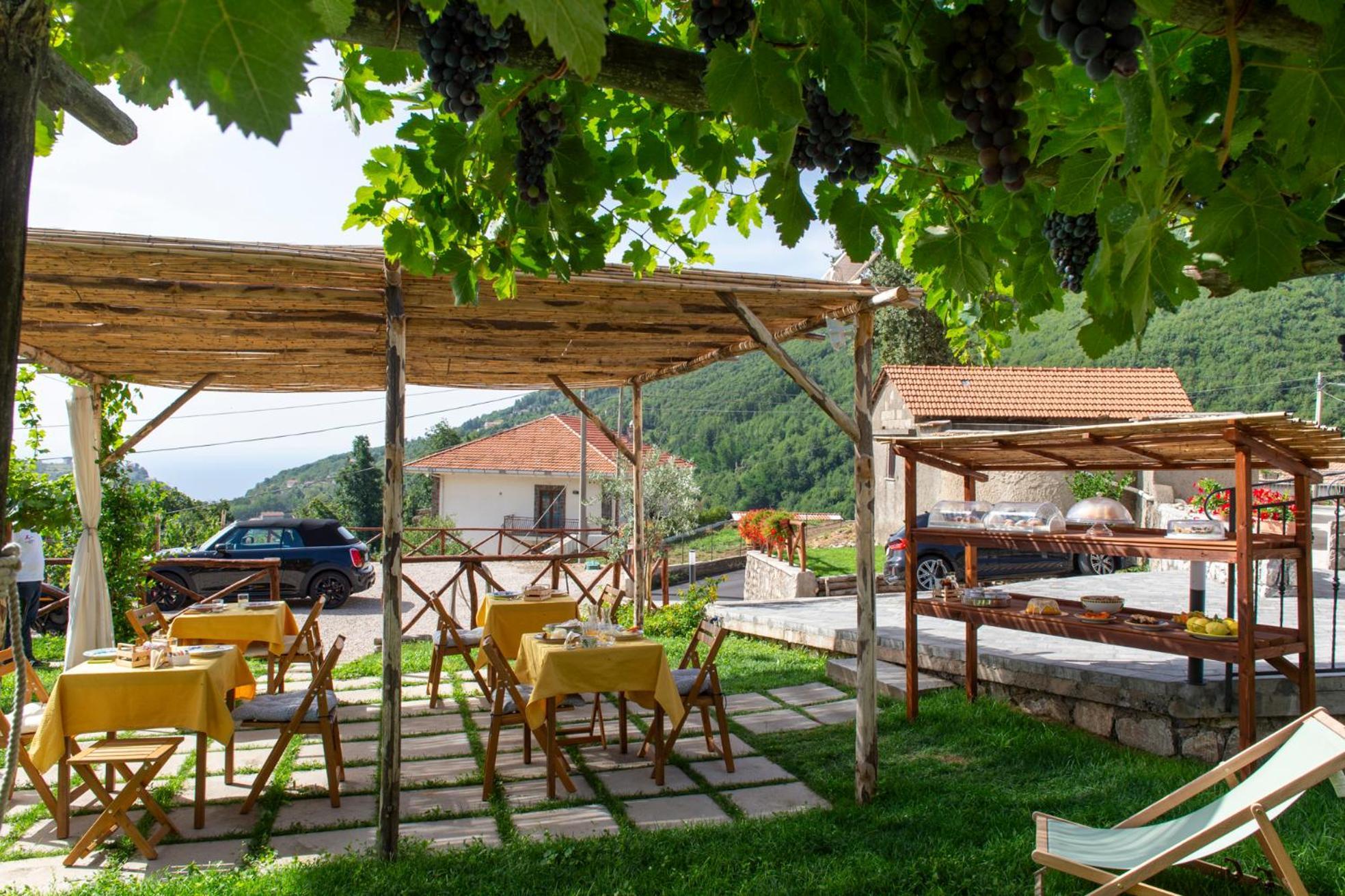 アジェーロラ Il Vigneto Di Nonno Pietro Bed & Breakfast エクステリア 写真