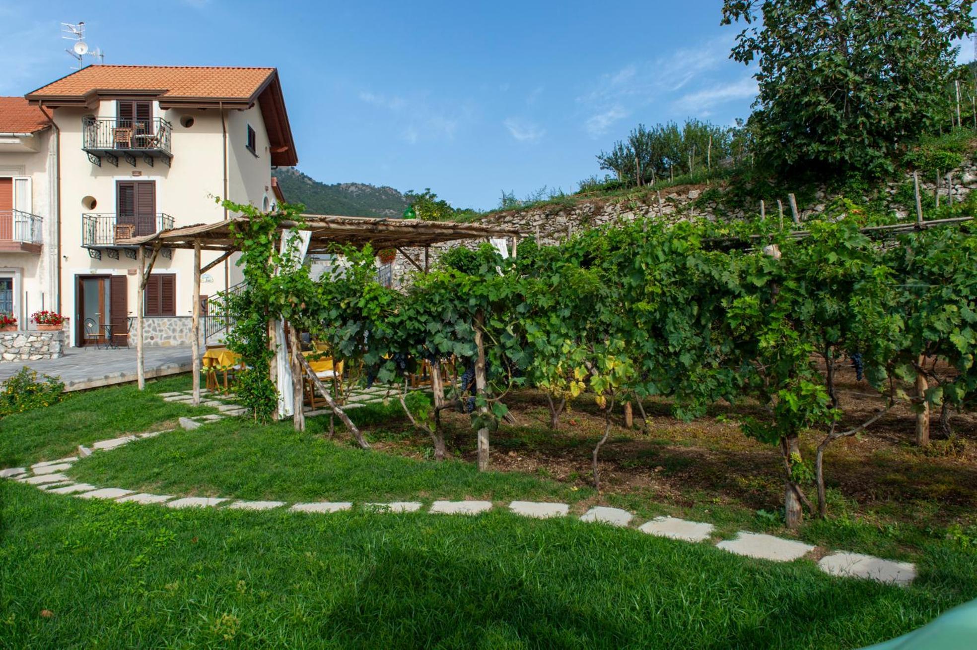 アジェーロラ Il Vigneto Di Nonno Pietro Bed & Breakfast エクステリア 写真