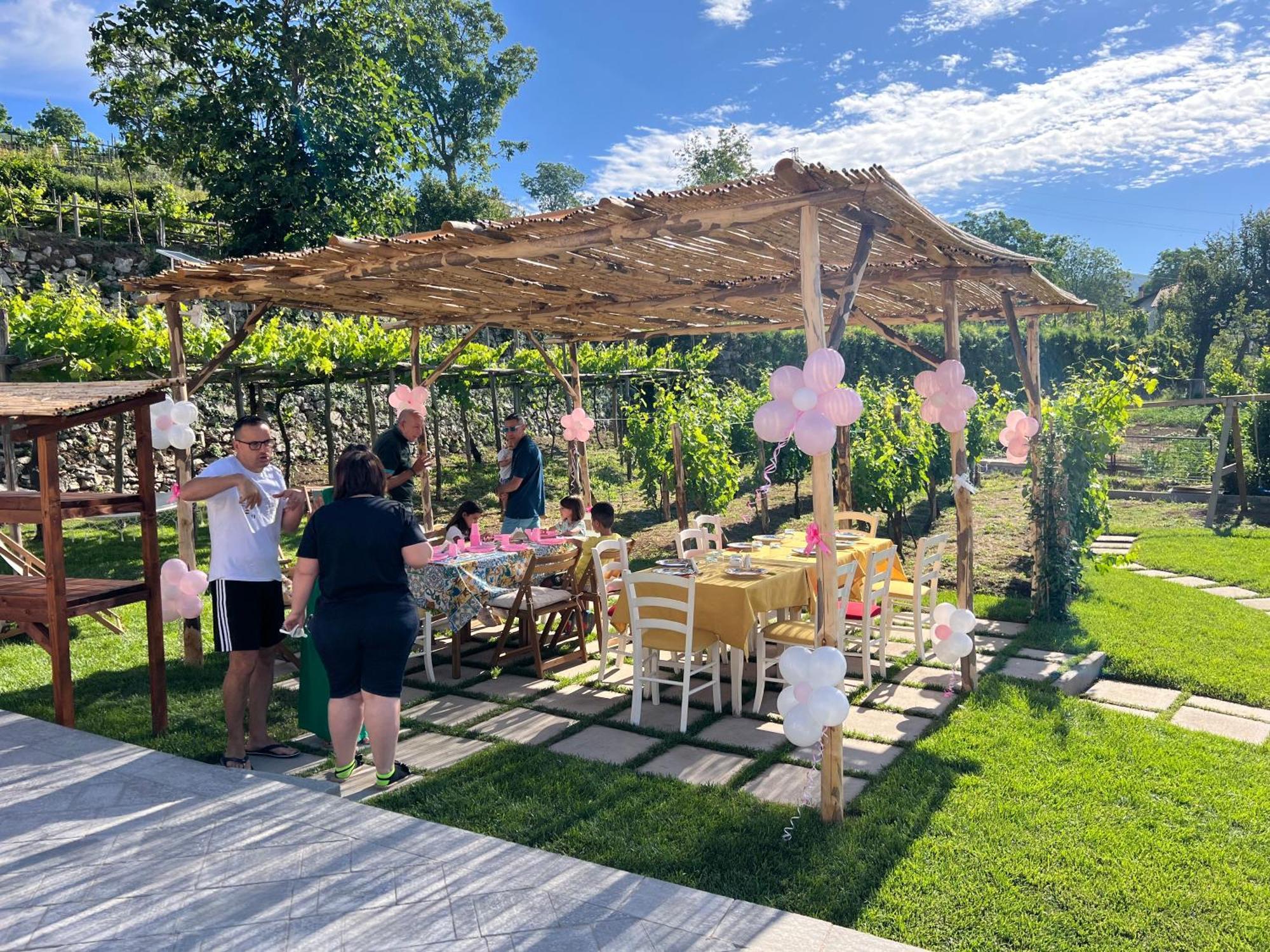 アジェーロラ Il Vigneto Di Nonno Pietro Bed & Breakfast エクステリア 写真